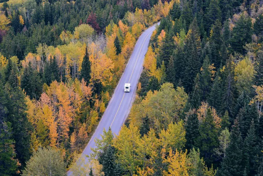 rv driving road surrounded by trees