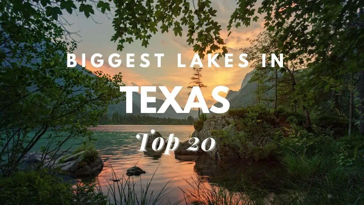 Biggest Lakes In Texas [Top 20]