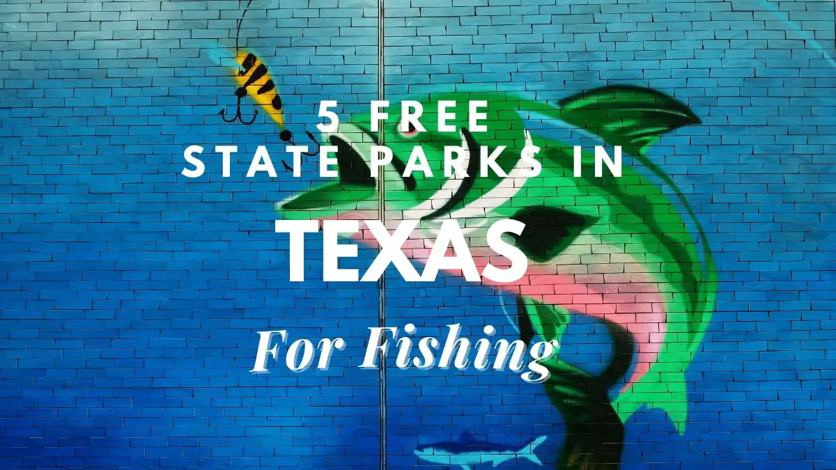 [5 Free] State Parks In Texas For Fishing