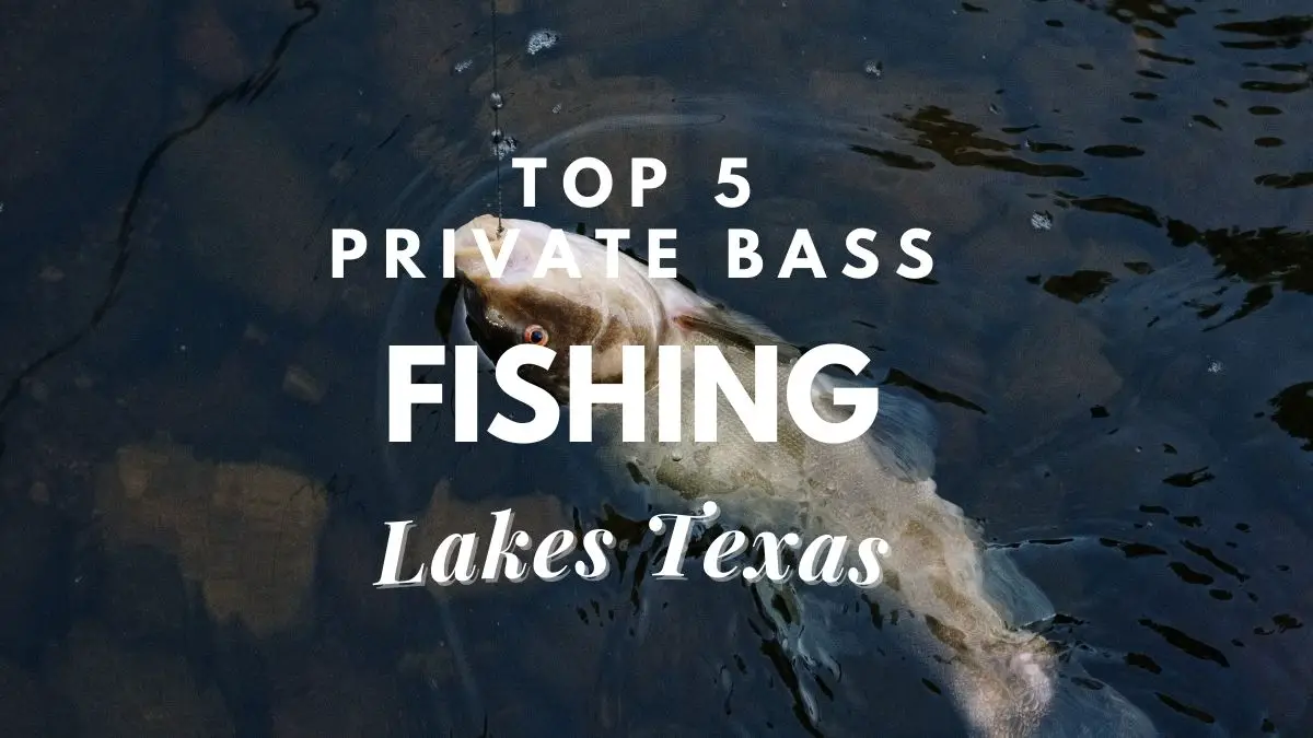 [top 5] private bass fishing lakes texas