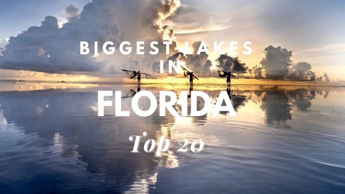 Biggest Lakes in Florida [Top 20]