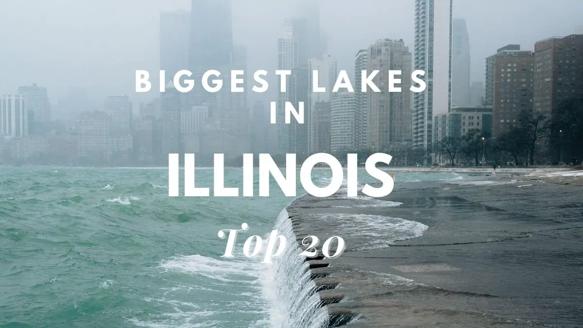 Biggest Lakes In Illinois [Top 20]