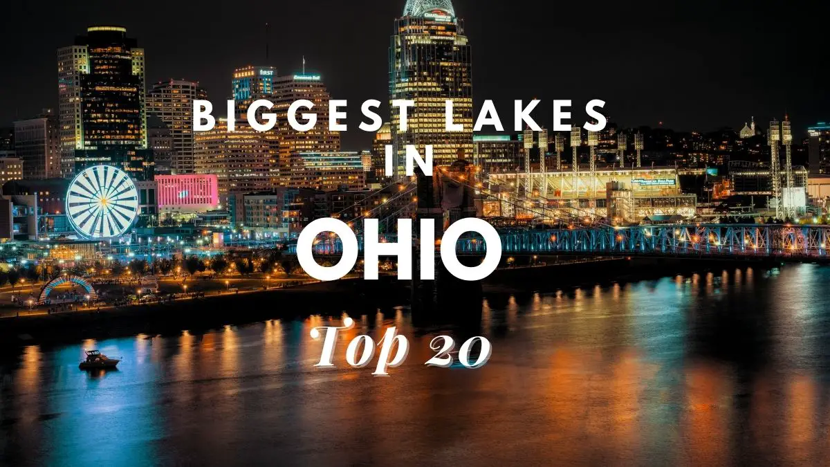 Biggest Lakes In Ohio [Top 20]