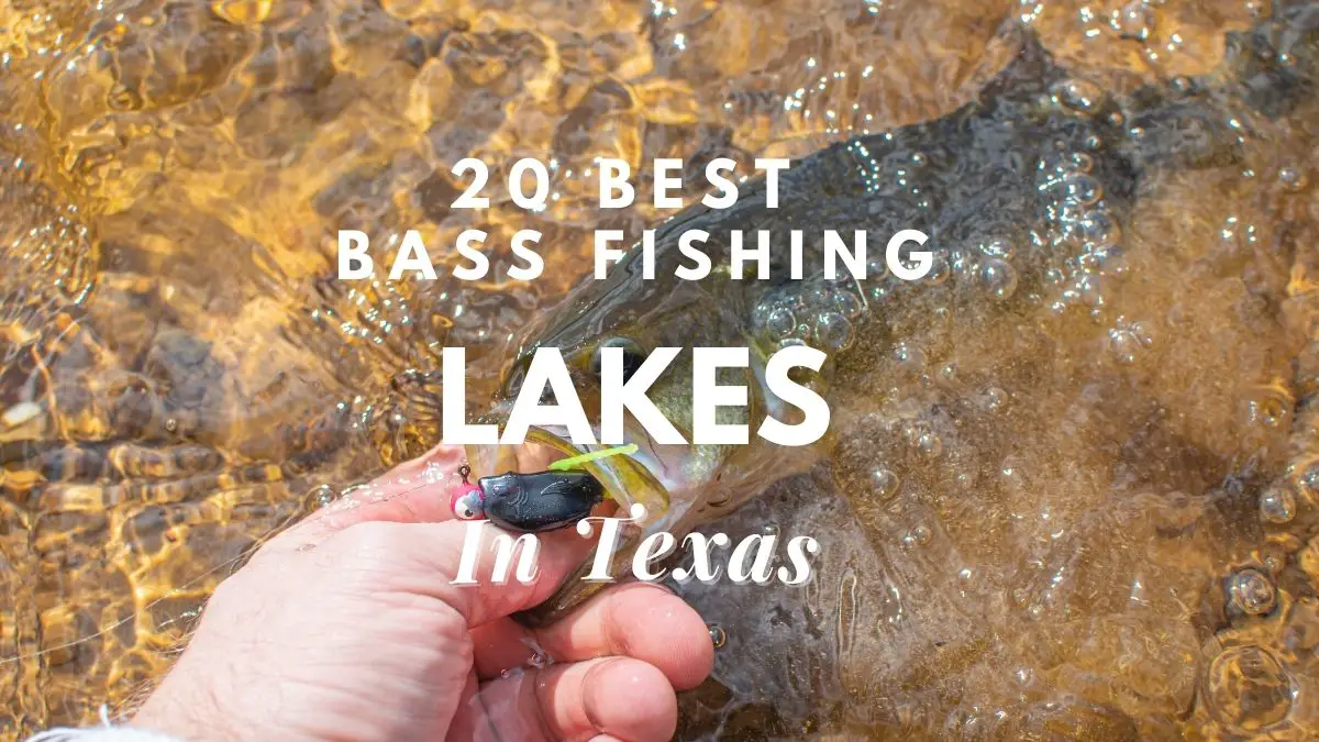 [20 Best] Bass Fishing Lakes In Texas