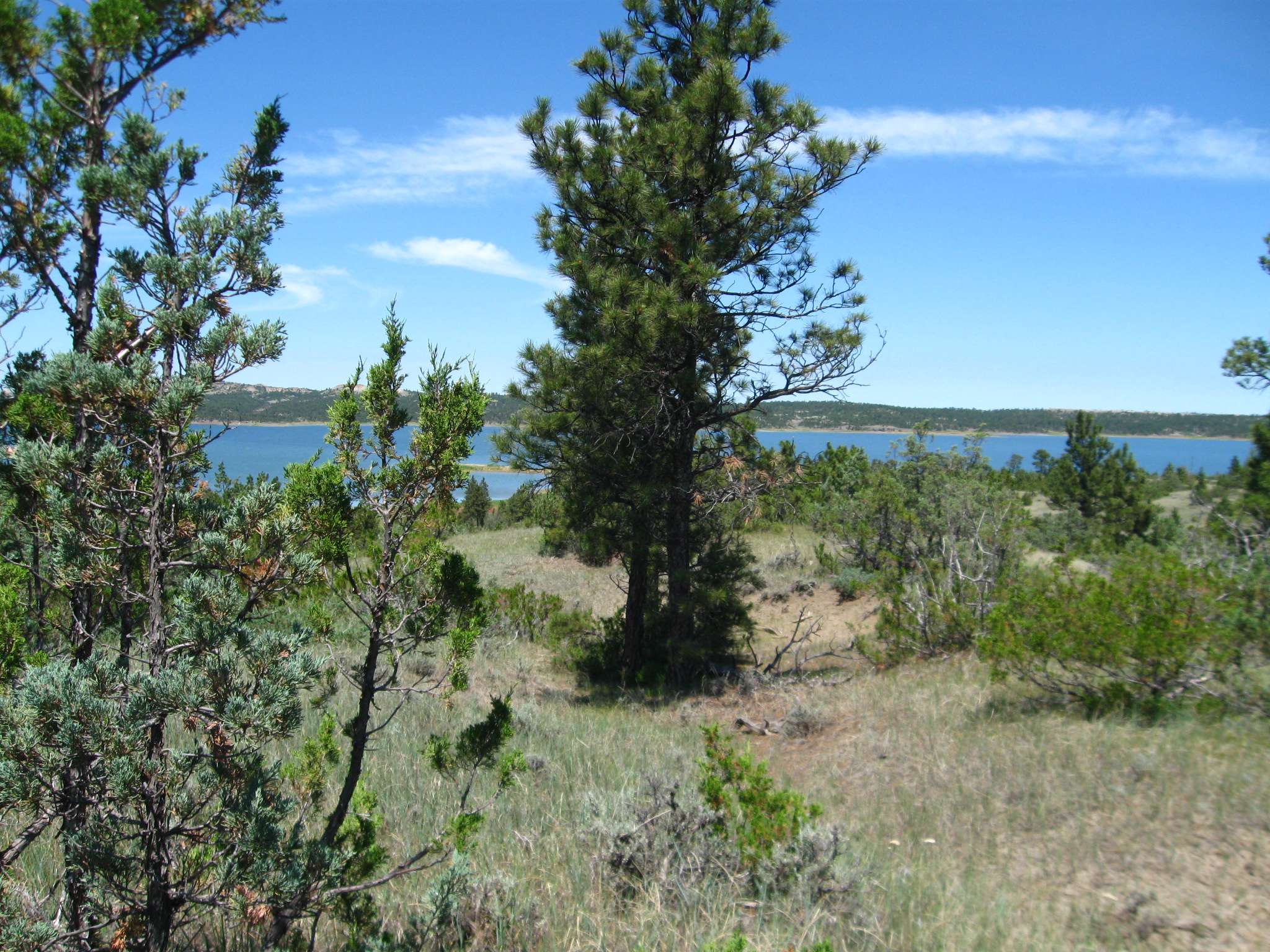 Fort Peck Lake - reaching into portions of six counties