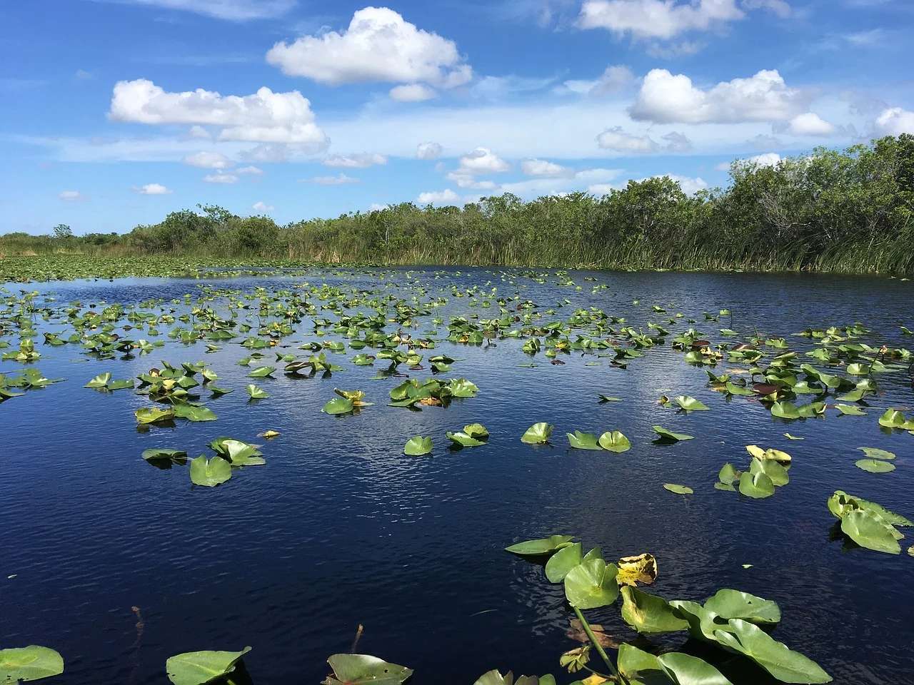 Lake Blue Cypress - the largest lake by volume in Florida