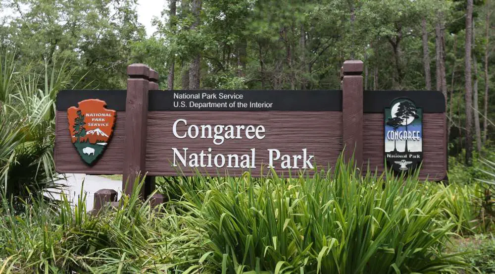 Get the excitement of camping at the Congaree National Park