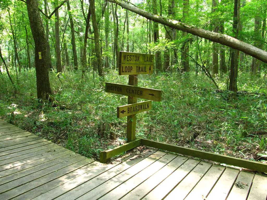 Go for a walk in the boardwalk loop
