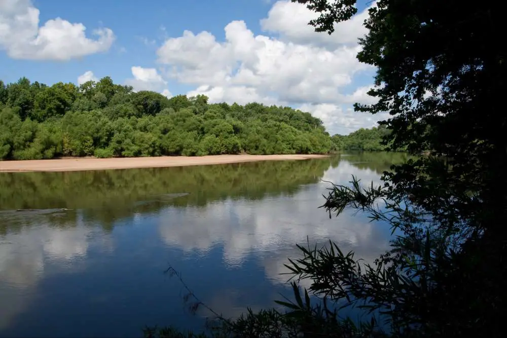 Go for a walk in the Congaree Bluffs Heritage Preserve
