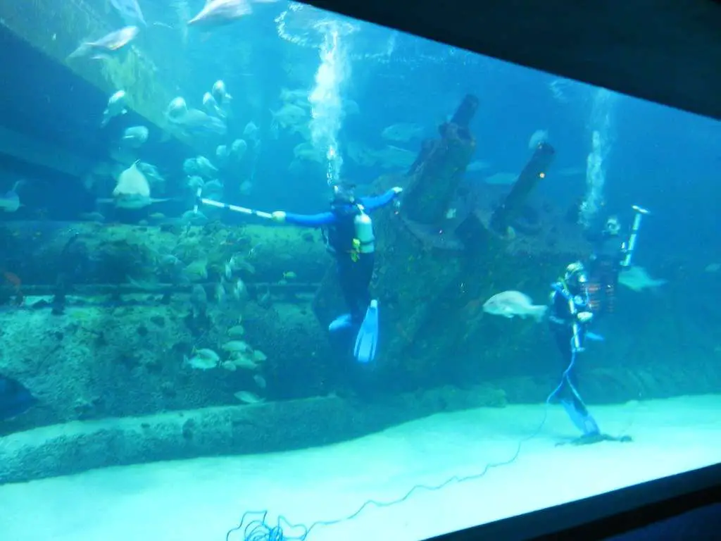 The North Carolina Aquarium at Pine Knoll Shores
