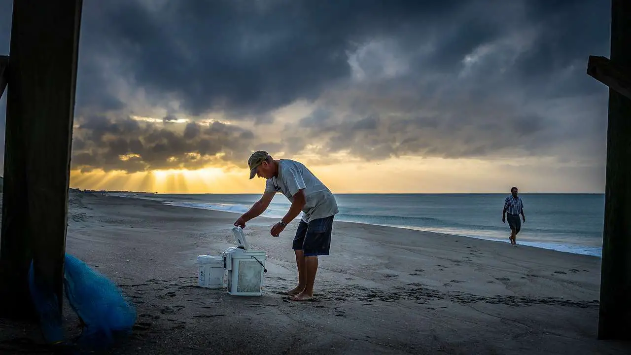 Is Emerald Isle Beach a dog friendly one?