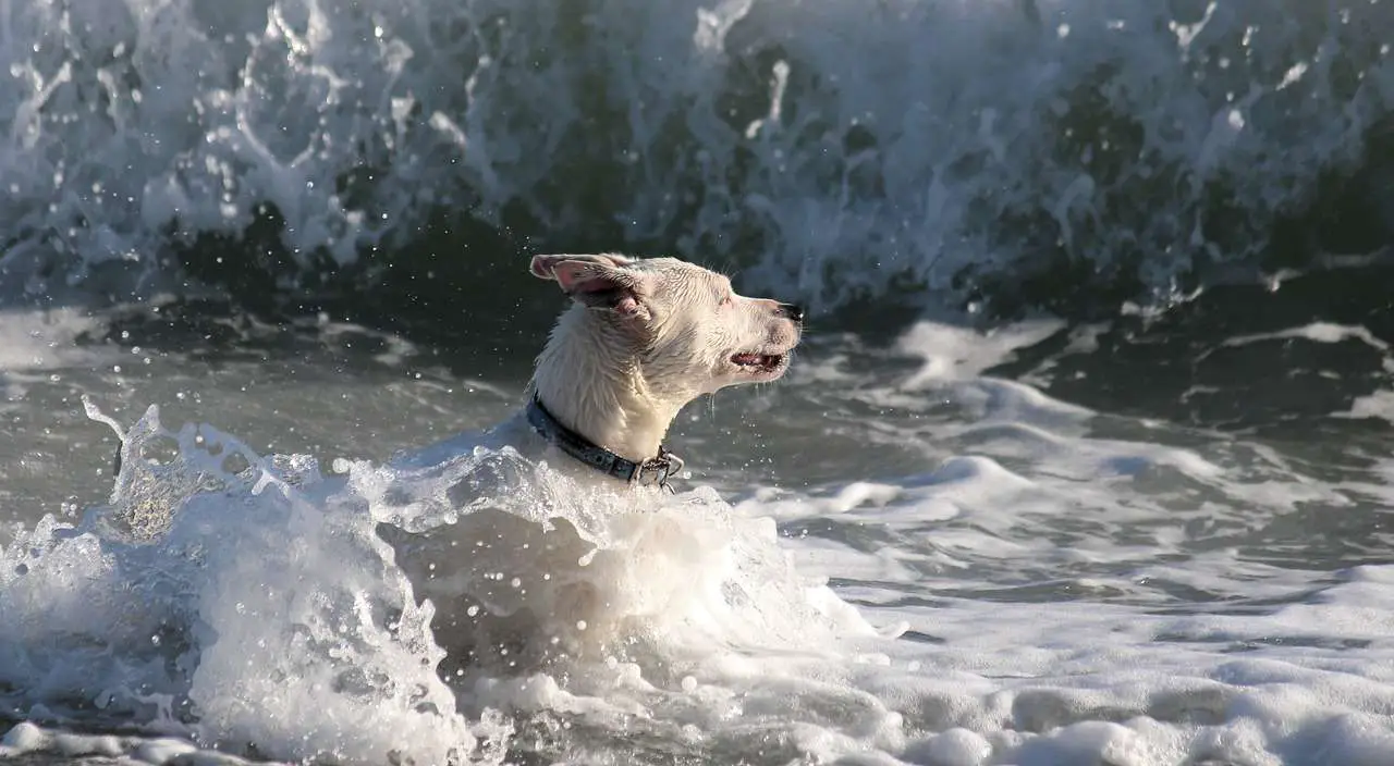 Enjoying your time at the beach