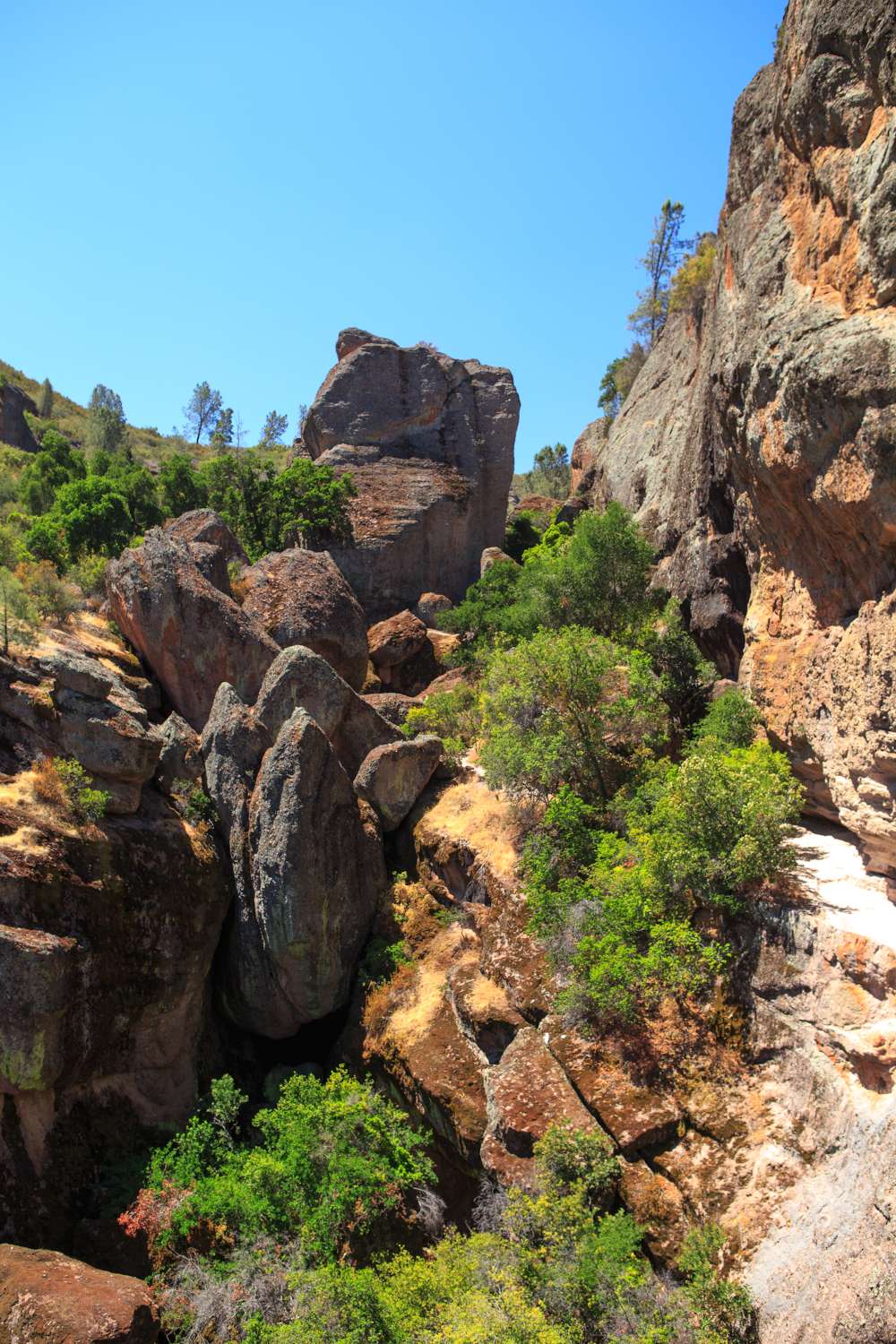 The Best Pinnacles Trails