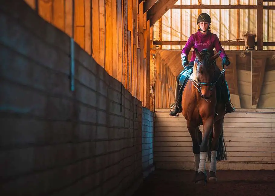 Horseback Riding at Cedar Creek Stables