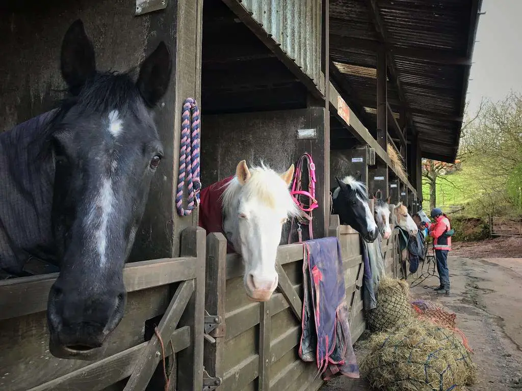 Riding Stables on the Riverside