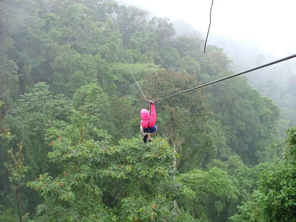 Take a Zipline Adventure Tour of the Canopy