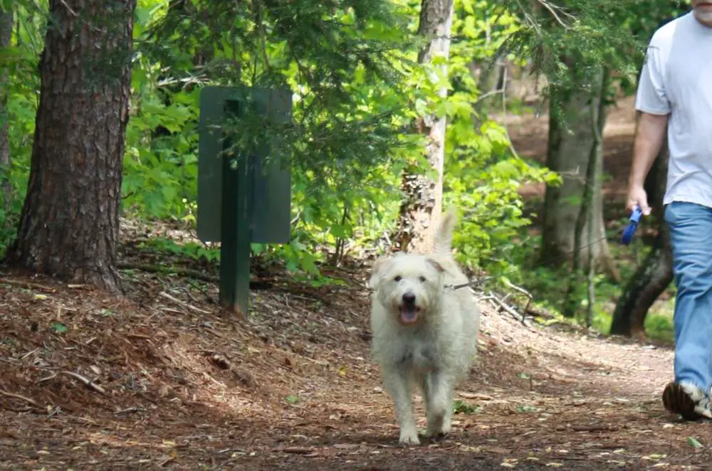 Visit the Donald Ross Nature Trail Park