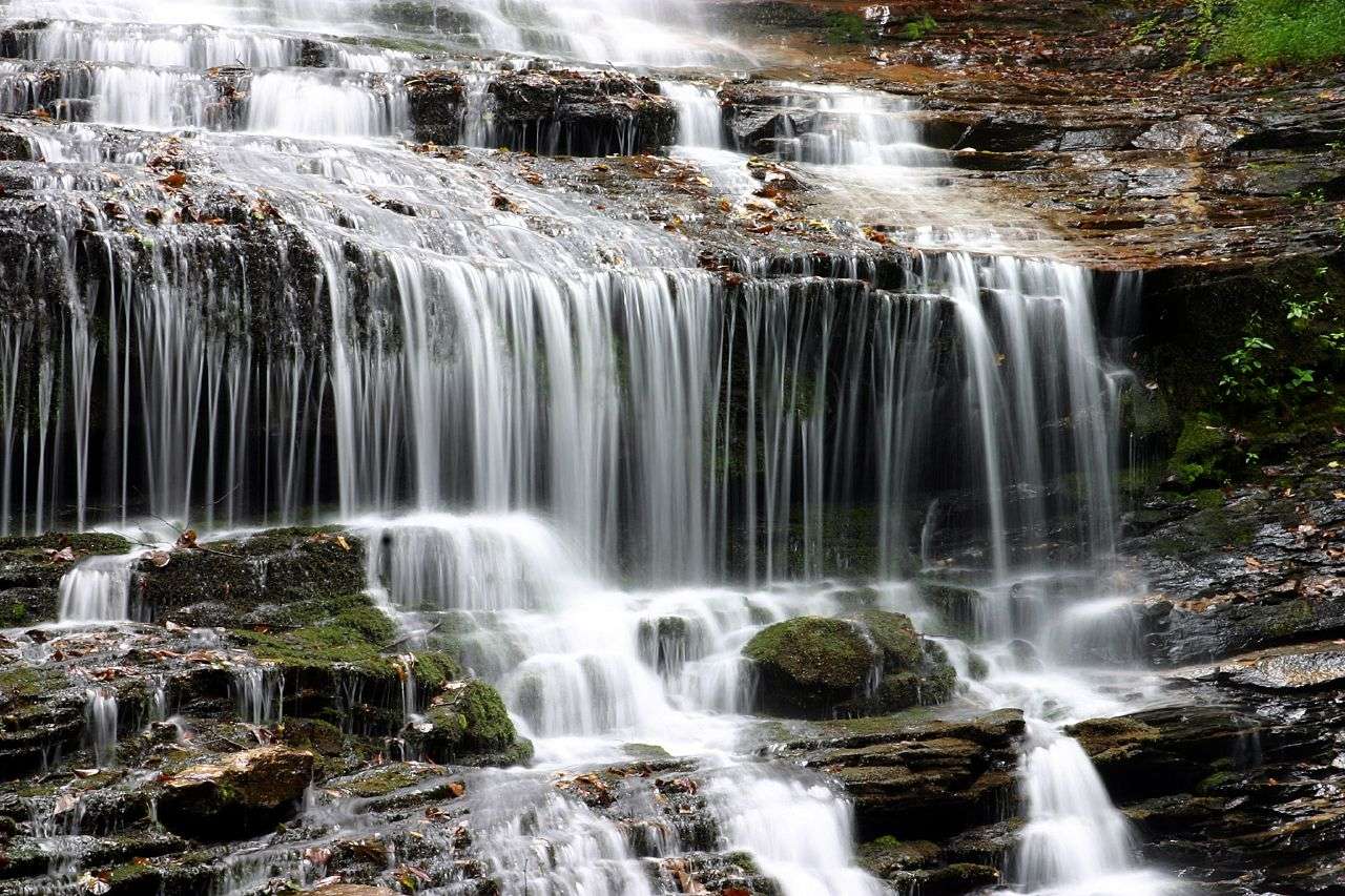 Pearson Falls waterfall experience