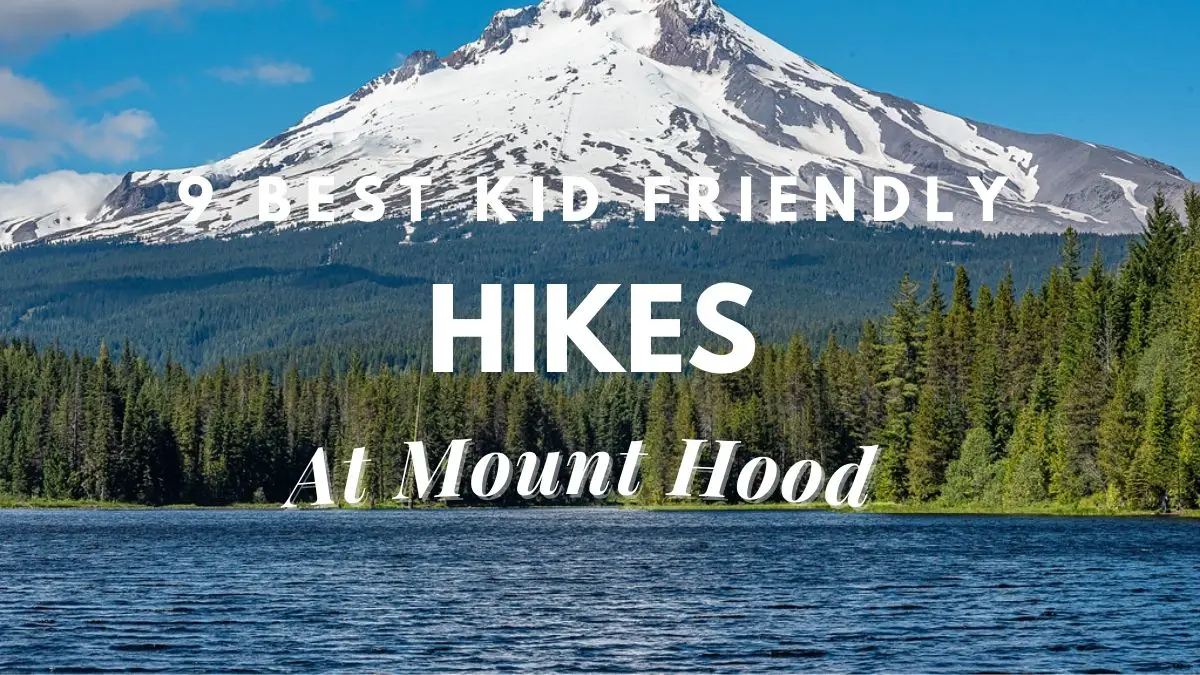 [8 Best] Kid Friendly Hikes At Mount Hood