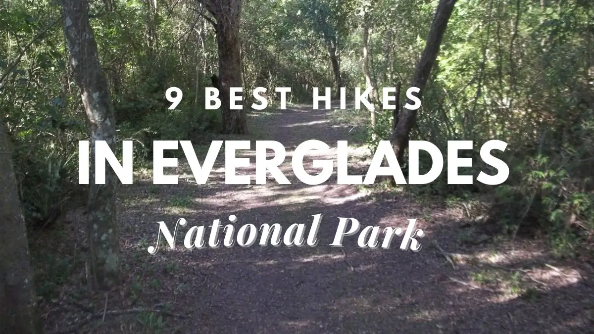 [9 Best] Hikes In Everglades National Park