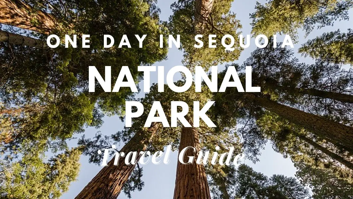 [One Day] In Sequoia National Park Travel Guide