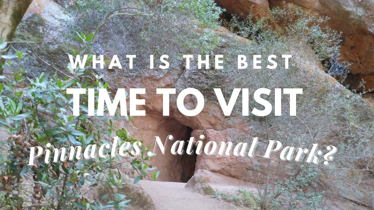What Is The Best Time To Visit Pinnacles National Park?