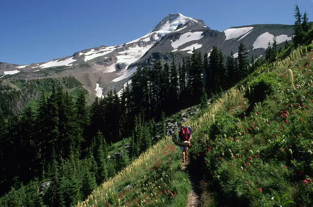 The Timberline Trail