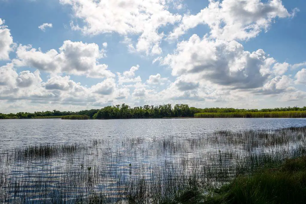 Everglades National Park's Most Popular Trails