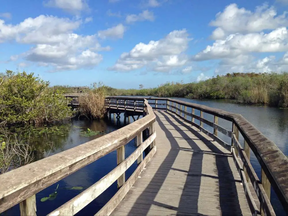 Anhinga Trail