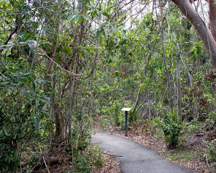 Gumbo Limbo Trail