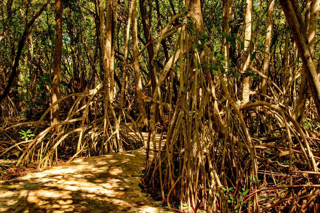 Christian Point Trail