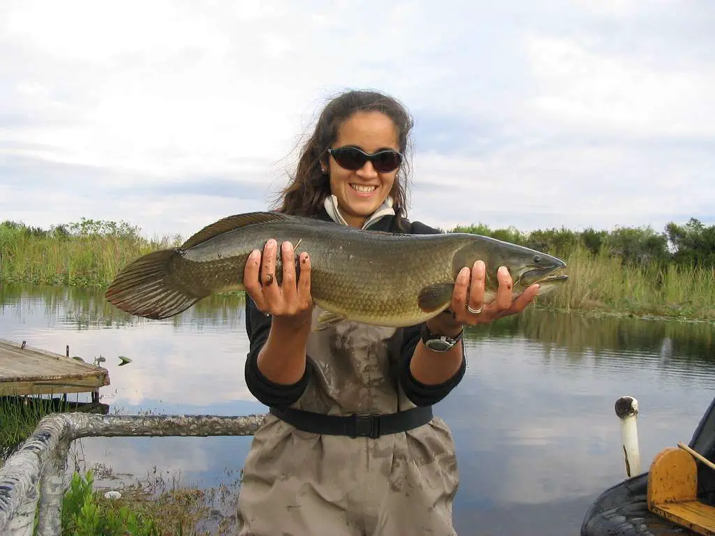 Things you can do at the Everglades National Park