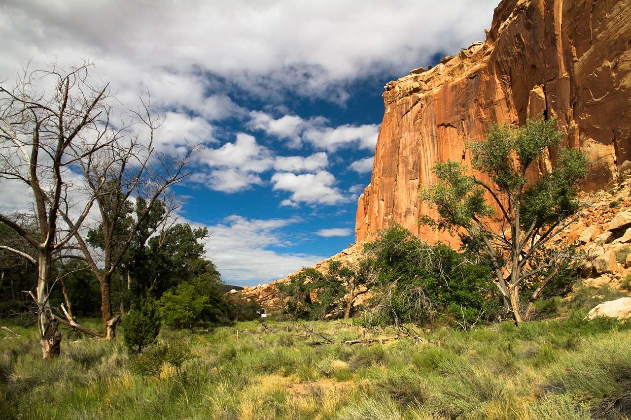 What is the best time to visit the Capitol Reef National Park?