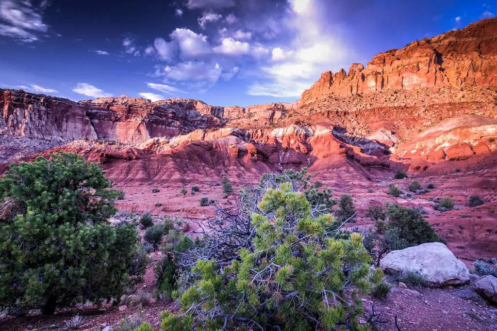 Don’t forget Capitol Reef Scenic Drive 