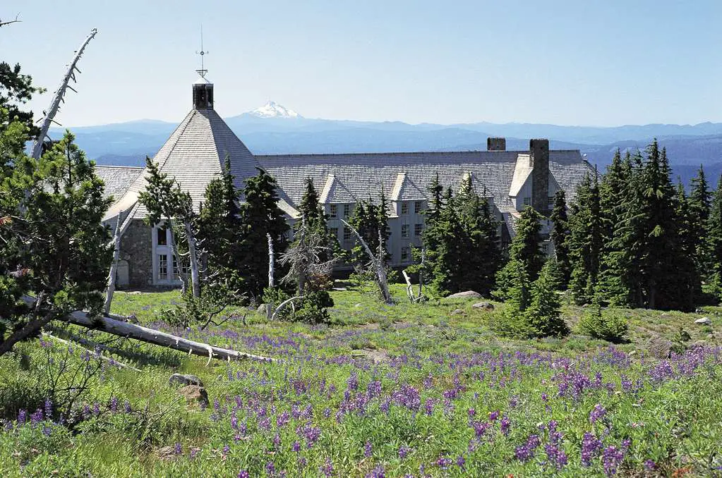 Best kid-friendly hikes at Mount Hood
