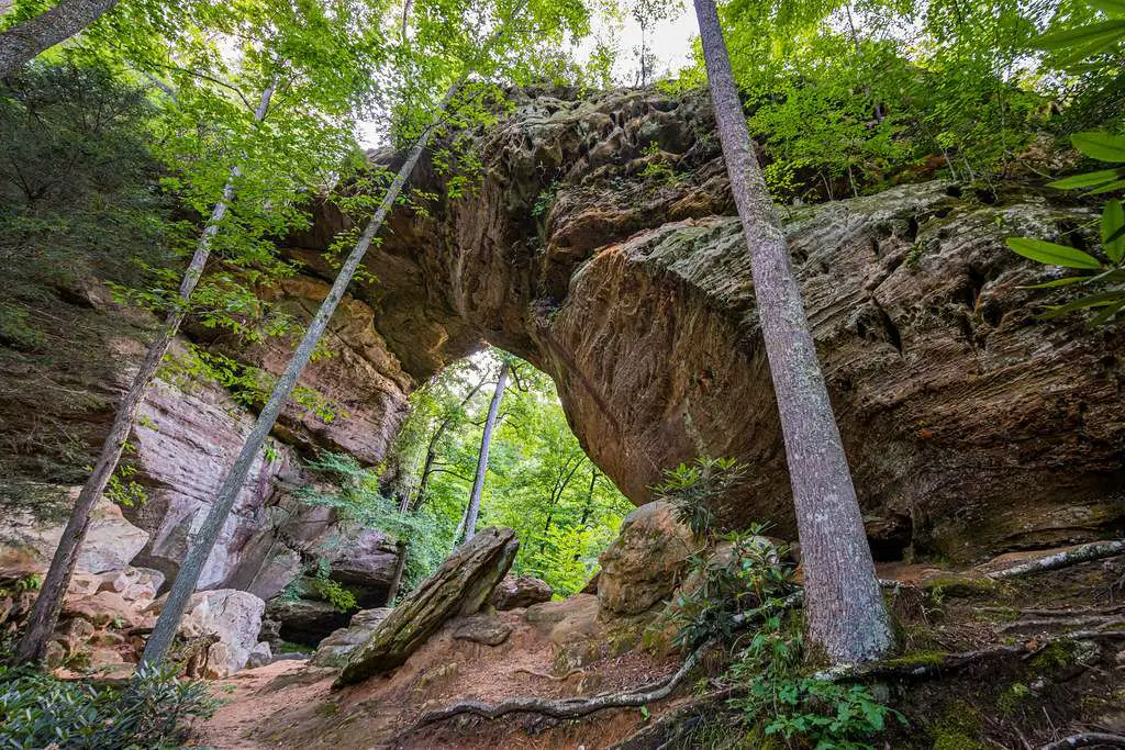 Go for a hike in one of the trails