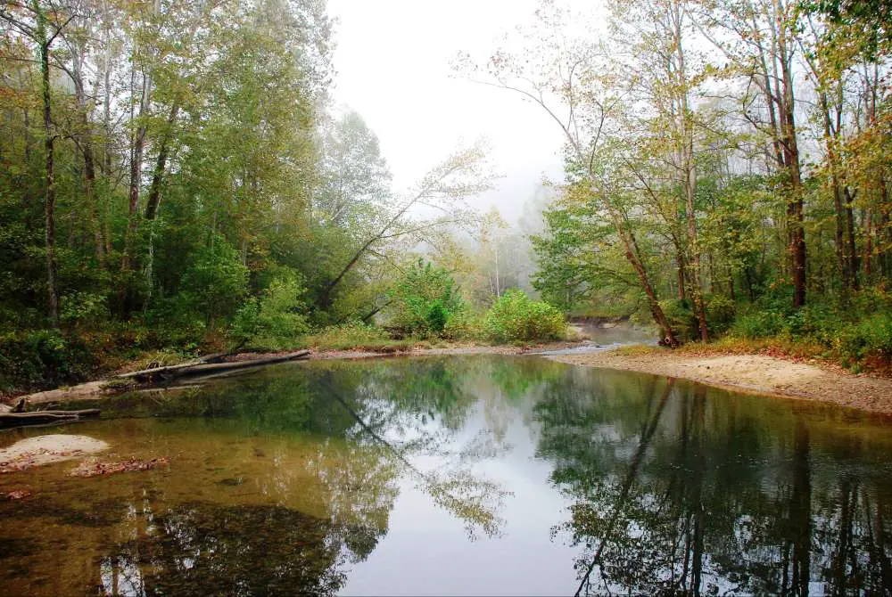 Kayak around the red river