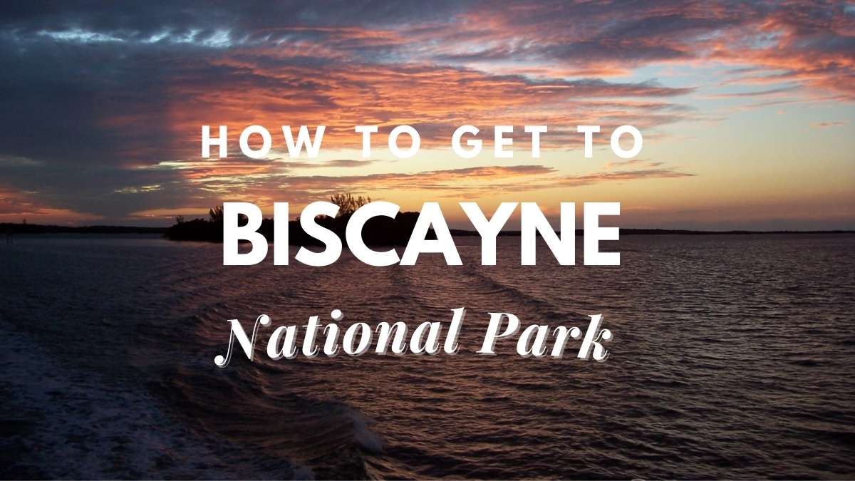 How To Get To Biscayne National Park – Travel Youman