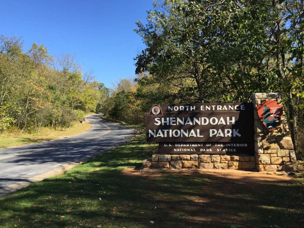What are the best dog friendly trails in Shenandoah National Park?