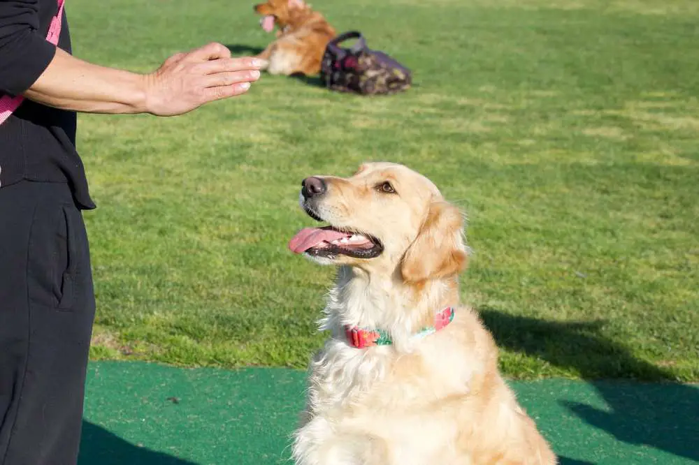 Teach your dog the trail's regulations.