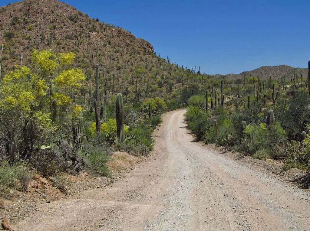 The Saguaro National Park is divided into two
