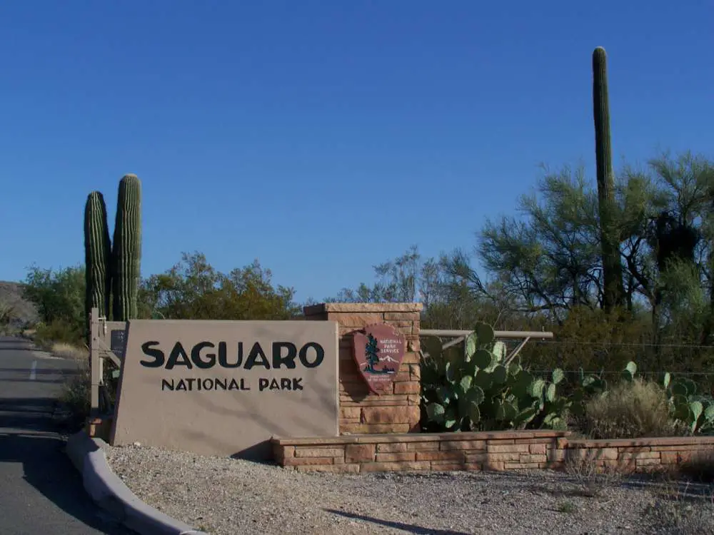 Which side of Saguaro provides the most hiking opportunities?
