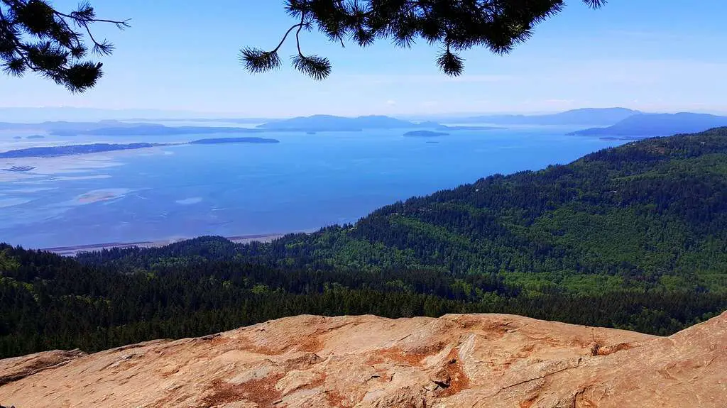 Oyster Dome