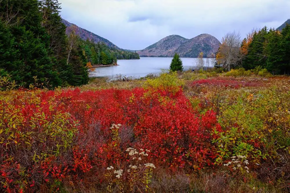 Jordan Pond Full Loop Trail - 3.4 miles long.