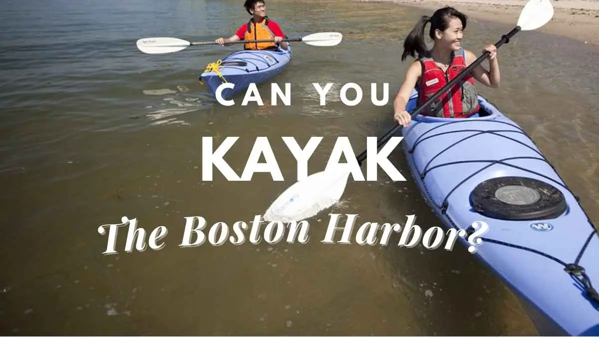 Can You Kayak The Boston Harbor? Travel Youman