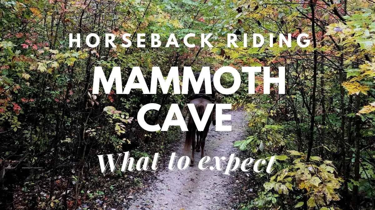 Horseback Riding Mammoth Cave What To Expect Travel Youman   Wordpress Travel Youman 2022 03 08T001255.239 