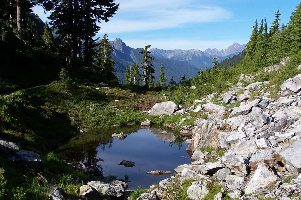 Enchanted Valley in Olympic National Park