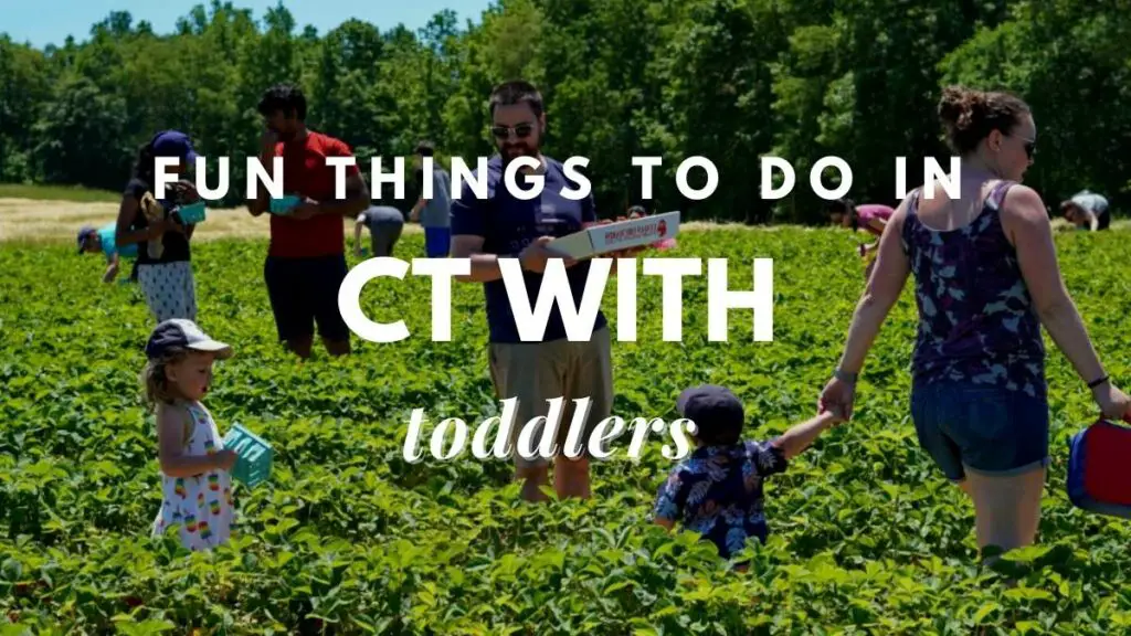 17-fun-things-to-do-in-ct-with-toddlers-in-year-travel-youman