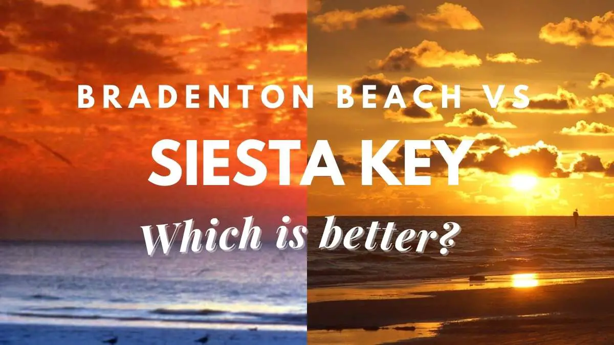 Bradenton Beach VS Siesta Key Which Is Better? Travel Youman