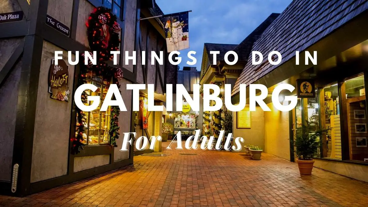 things to do in gatlinburg for adults